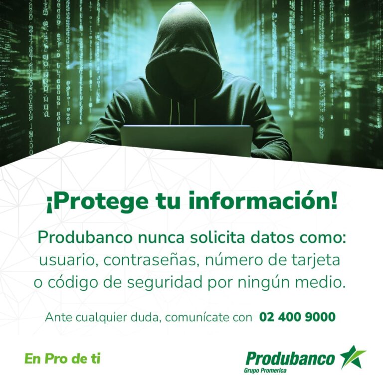 WhatsApp Image 2025-11-13 at 10.06.41 (1)